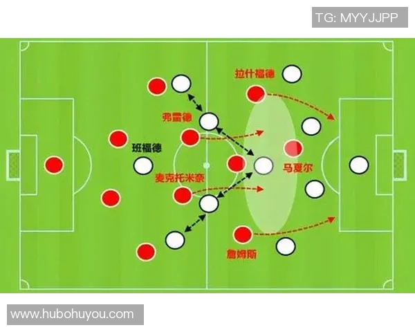 深圳篮球队的阵地战解析：战术布局与球员协作的深度剖析