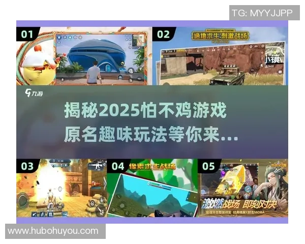 张强谈和平精英发展历程与未来展望揭秘游戏背后的故事与挑战